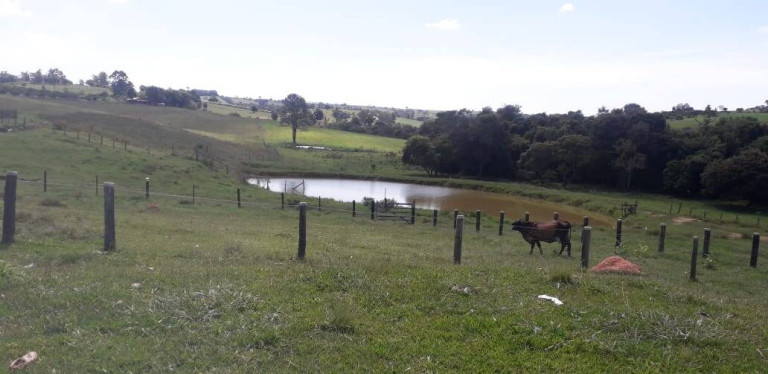 Chácara com 2 Quartos à Venda, 95.000 m² em Cercadinho - Alambari