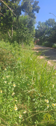 Imagem Fazenda à Venda, 1 m² em Interlagos - Vila Velha Imagem Fazenda à Venda, 1 m² em Interlagos - Vila Velha
