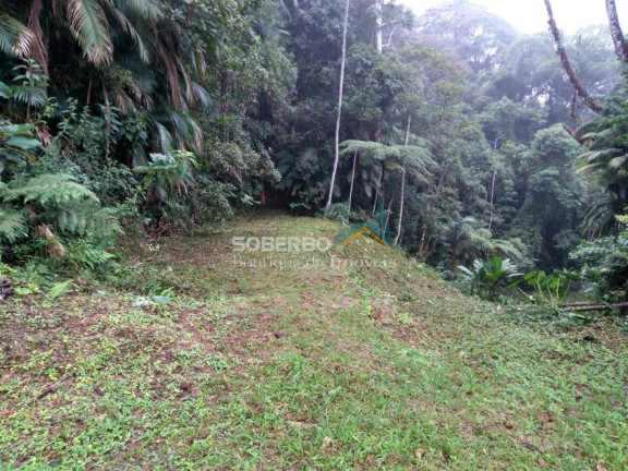 Imagem Terreno à Venda, 2.947 m² em Fazenda Inglesa - Petrópolis Imagem Terreno à Venda, 2.947 m² em Fazenda Inglesa - Petrópolis