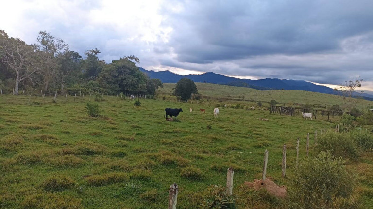 Imagem Fazenda à Venda, 100 m² em Estiva - Taubaté