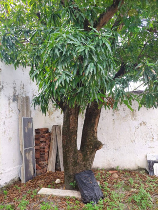 Imagem Casa com 4 Quartos à Venda, 150 m² em Piedade - Jaboatão Dos Guararapes