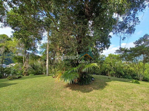 Imagem Imóvel com 4 Quartos à Venda, 10.920 m² em Granja Guarani - Teresópolis