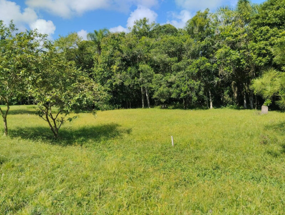 Imagem Terreno à Venda, 12.291 m² em Centro - Araquari Imagem Terreno à Venda, 12.291 m² em Centro - Araquari