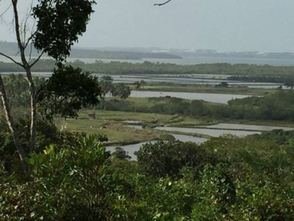 Imagem Terreno à Venda, 35 m² em Piau - Tibau Do Sul