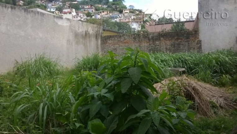Imagem Casa com 2 Quartos à Venda, 339 m² em Centro - Florianópolis Imagem Casa com 2 Quartos à Venda, 339 m² em Centro - Florianópolis