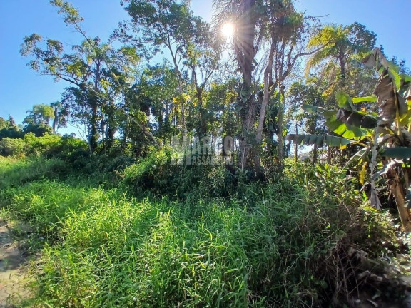 Terreno à Venda, 312 m² em Costeira - Balneário Barra Do Sul