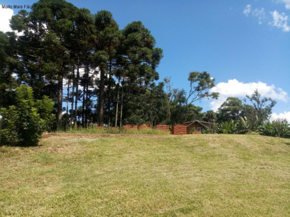 Imagem Casa com 3 Quartos à Venda, 160 m² em Linha Imperial - Nova Petrópolis