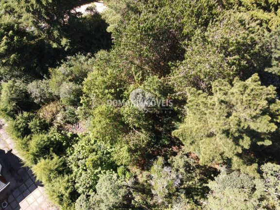 Imagem Terreno à Venda, 1.090 m² em Região Do Alto Do Capivari - Campos Do Jordão Imagem Terreno à Venda, 1.090 m² em Região Do Alto Do Capivari - Campos Do Jordão