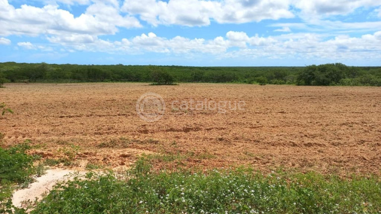 Imagem Fazenda à Venda, 3.000.000 m² em Rural - Jandaíra Imagem Fazenda à Venda, 3.000.000 m² em Rural - Jandaíra