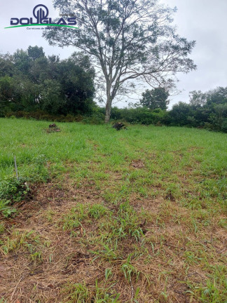 Imagem Terreno à Venda, 600 m² em águas Claras - Viamão Imagem Terreno à Venda, 600 m² em águas Claras - Viamão