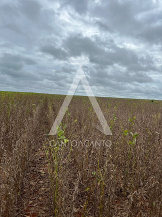 Imagem Imóvel à Venda, 162 m² em Zona Rural - Tapurah Imagem Imóvel à Venda, 162 m² em Zona Rural - Tapurah