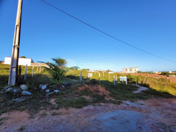 Imagem Terreno à Venda, 450 m² em Cotovelo (distrito Litoral) - Parnamirim Imagem Terreno à Venda, 450 m² em Cotovelo (distrito Litoral) - Parnamirim
