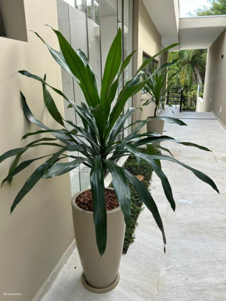 Imagem Casa com 5 Quartos à Venda, 450 m² em Jardim Guedala - São Paulo Imagem Casa com 5 Quartos à Venda, 450 m² em Jardim Guedala - São Paulo