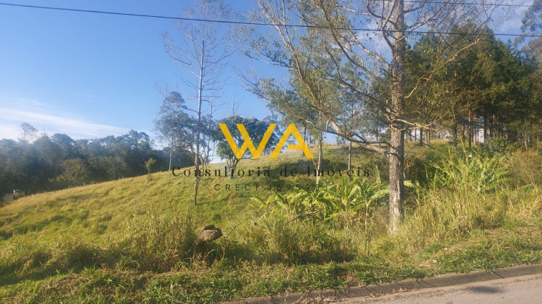 Imagem Terreno à Venda, 5.300 m² em Vila Nova Aparecida - Mogi Das Cruzes