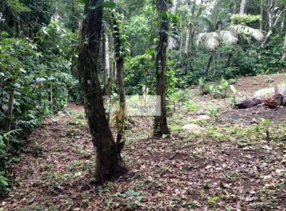 Imagem Terreno à Venda, 3.117 m² em Maresias - São Sebastião Imagem Terreno à Venda, 3.117 m² em Maresias - São Sebastião