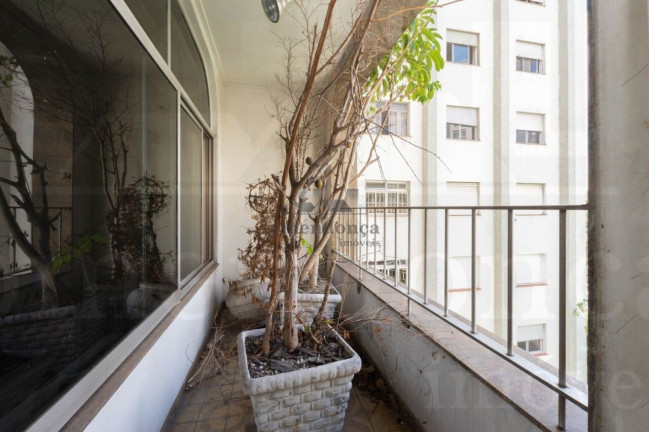 Imagem Apartamento com 3 Quartos à Venda, 220 m² em Higienópolis - São Paulo
