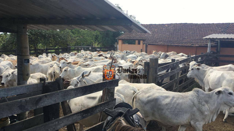 Imagem Fazenda à Venda, 1.258.400 m² em Estrada De São Vicente - Araruama Imagem Fazenda à Venda, 1.258.400 m² em Estrada De São Vicente - Araruama