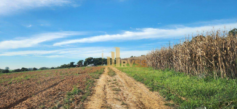 Imagem Fazenda à Venda, 291.613 m² em Porto Feliz - Sorocaba - Porto Feliz Imagem Fazenda à Venda, 291.613 m² em Porto Feliz - Sorocaba - Porto Feliz