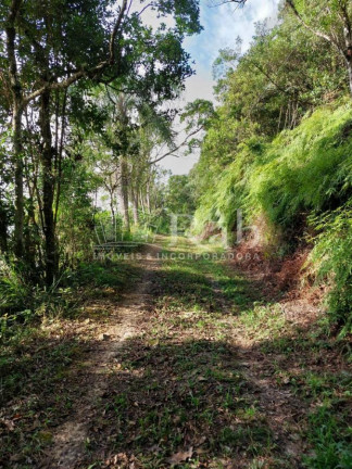 Imagem Terreno à Venda, 36.000 m² em Braço - Camboriú Imagem Terreno à Venda, 36.000 m² em Braço - Camboriú