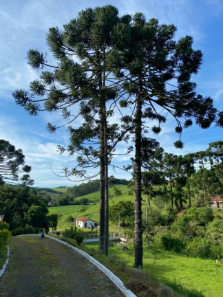 Imagem Chácara com 7 Quartos à Venda, 1.800 m² em Zona Rural - Cunha Imagem Chácara com 7 Quartos à Venda, 1.800 m² em Zona Rural - Cunha