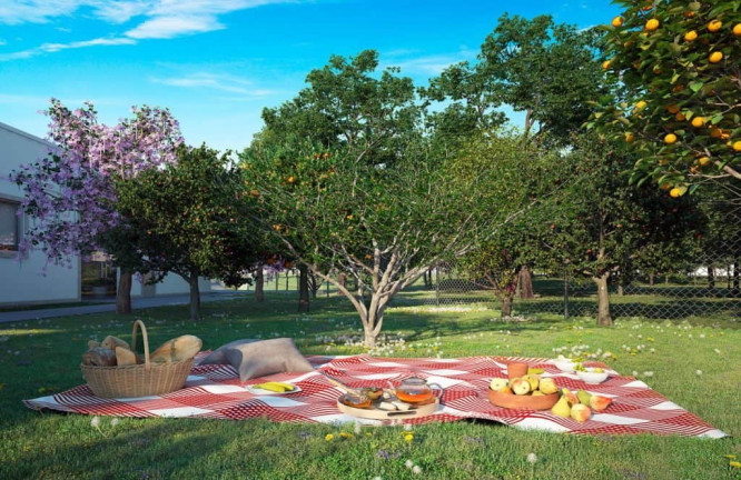Imagem Apartamento com 2 Quartos à Venda, 50 m² em Campinas