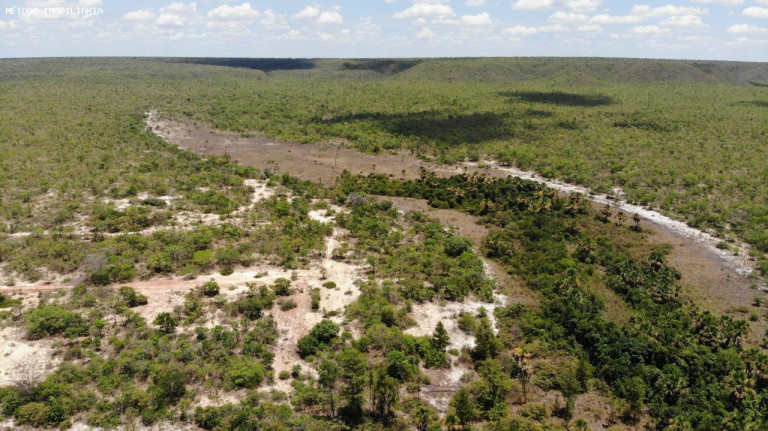 Imagem Fazenda à Venda, 14.000 m² em Rural - Cocos