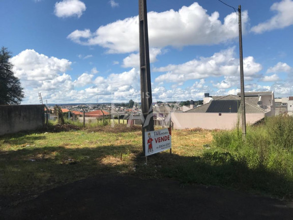 Imagem Terreno à Venda, 325 m² em Alto Da Xv - Guarapuava Imagem Terreno à Venda, 325 m² em Alto Da Xv - Guarapuava