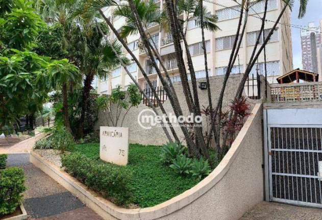 Imagem Apartamento com 3 Quartos à Venda, 110 m² em Cambuí - Campinas Imagem Apartamento com 3 Quartos à Venda, 110 m² em Cambuí - Campinas