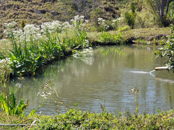 Imagem Chácara à Venda, 13 m² em Taubaté Imagem Chácara à Venda, 13 m² em Taubaté