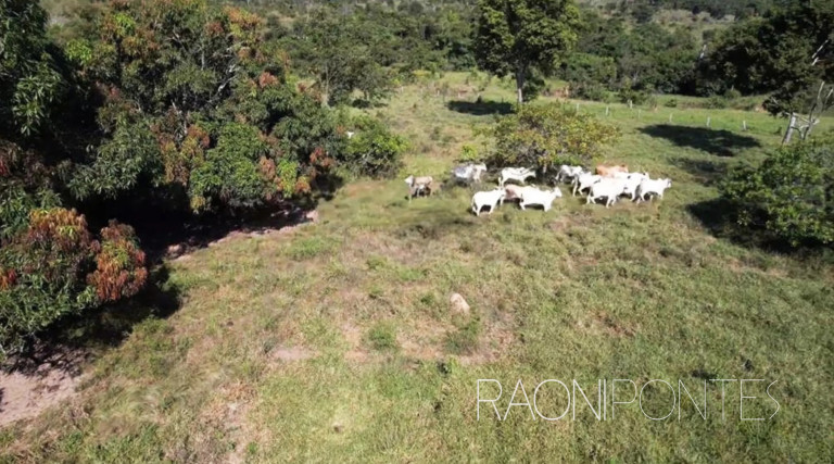Imagem Fazenda à Venda, 4.300.000 m² em Centro - Pimenta Bueno Imagem Fazenda à Venda, 4.300.000 m² em Centro - Pimenta Bueno
