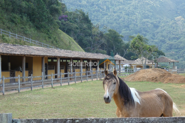 Imóvel com 3 Quartos à Venda, 1.394.000 m² em Serrinha - Teresópolis