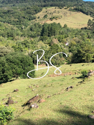 Imagem Imóvel com 2 Quartos à Venda, 240.000 m² em Padilha - São Francisco De Paula