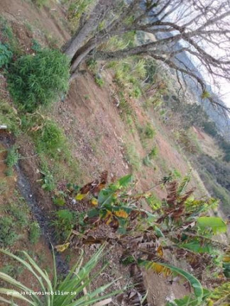 Imagem Chácara à Venda, em Consultar - Ibiúna Imagem Chácara à Venda, em Consultar - Ibiúna