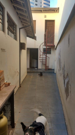 Imagem Imóvel com 3 Quartos à Venda, 146 m² em Higienópolis - Piracicaba Imagem Imóvel com 3 Quartos à Venda, 146 m² em Higienópolis - Piracicaba