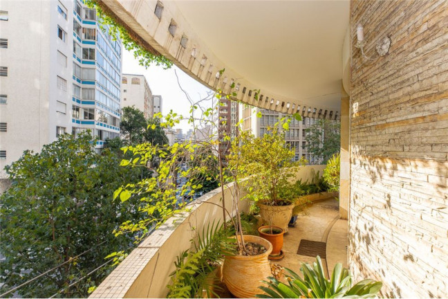 Imagem Apartamento com 4 Quartos à Venda, 500 m² em Higienópolis - São Paulo