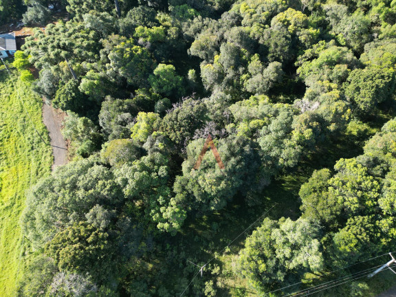 Imagem Terreno à Venda, 375 m² em Boqueirão - Guarapuava Imagem Terreno à Venda, 375 m² em Boqueirão - Guarapuava