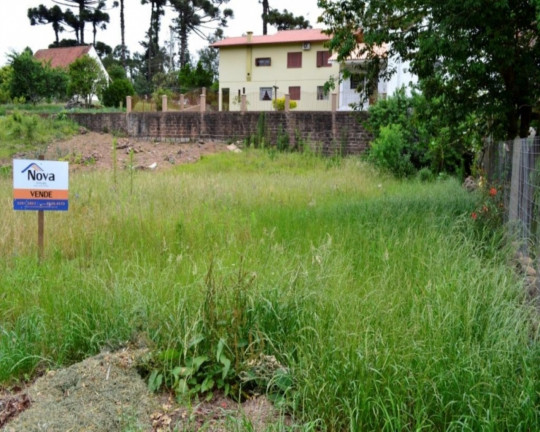 Imagem Imóvel à Venda, 450 m² em Bavária - Nova Petrópolis