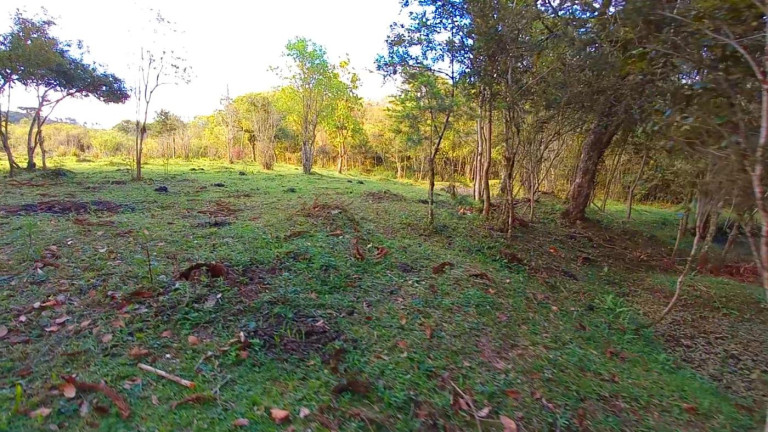 Imagem Imóvel à Venda, 32.800 m² em Ambrósio - Tijucas Do Sul