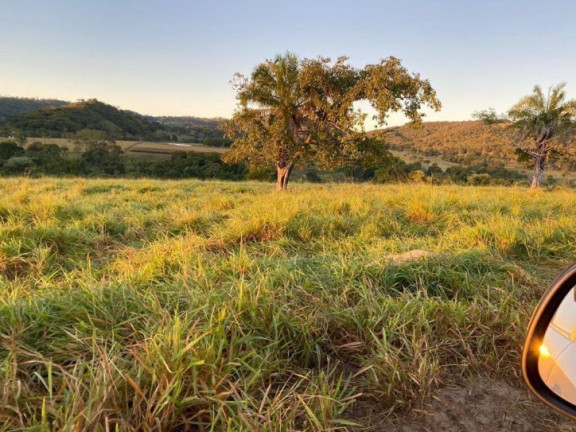 Fazenda à Venda, 308 m² em Zona Rural - São Luís De Montes Belos