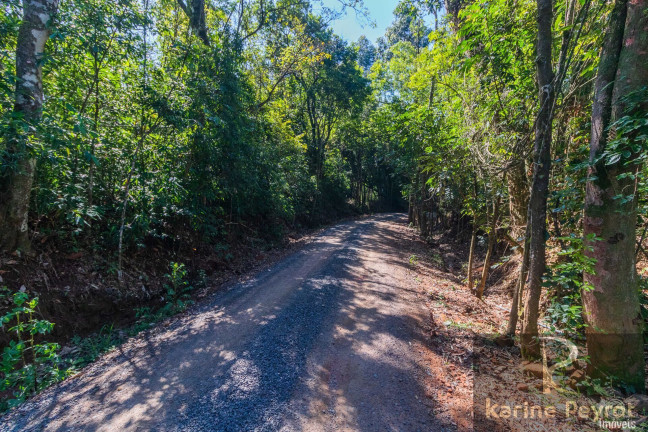 Imagem Terreno à Venda, 3.000 m² em Fazenda São Borja - São Leopoldo Imagem Terreno à Venda, 3.000 m² em Fazenda São Borja - São Leopoldo