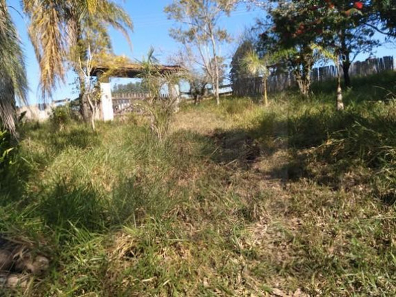 Imagem Chácara com 3 Quartos à Venda, 20.000 m² em São Roque Novo - Bofete Imagem Chácara com 3 Quartos à Venda, 20.000 m² em São Roque Novo - Bofete
