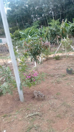 Imagem Chácara à Venda, 50 m² em Cuiabá - Nazaré Paulista