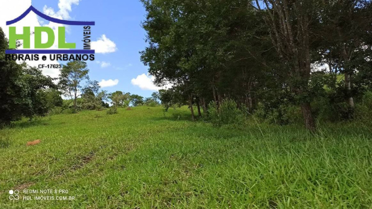 Imagem Fazenda à Venda, 21 m² em Zona Rural - Hidrolândia