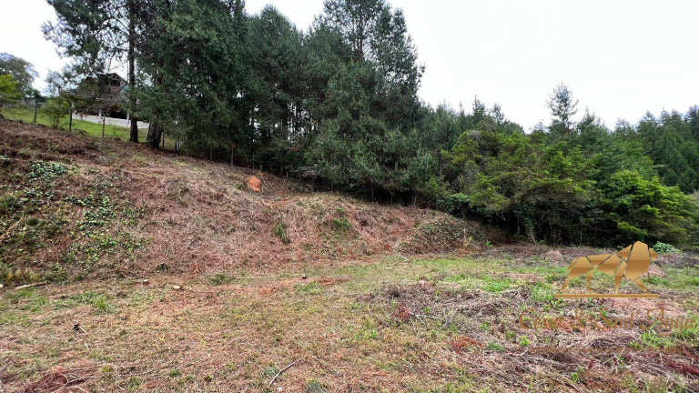 Imagem Terreno à Venda, 6.500 m² em Alto Da Vila Inglesa - Campos Do Jordão Imagem Terreno à Venda, 6.500 m² em Alto Da Vila Inglesa - Campos Do Jordão