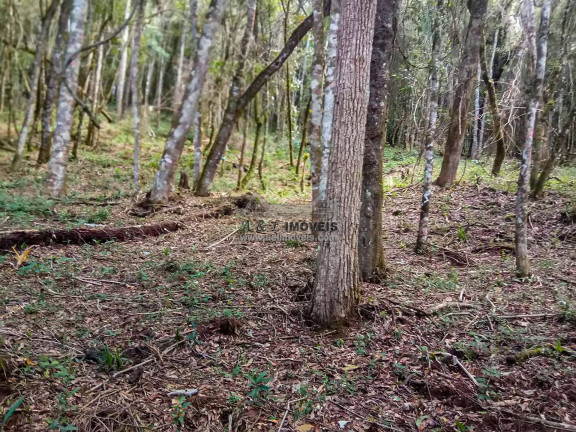 Imagem Terreno à Venda, 1 m² em Nova Capivari - Campos Do Jordão Imagem Terreno à Venda, 1 m² em Nova Capivari - Campos Do Jordão