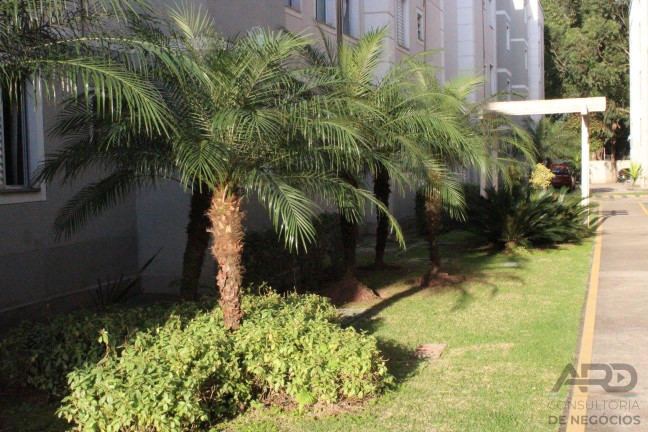 Imagem Apartamento com 1 Quarto para Alugar, 33 m² em Pq Do Carmo - Jardim Santa Terezinha - São Paulo