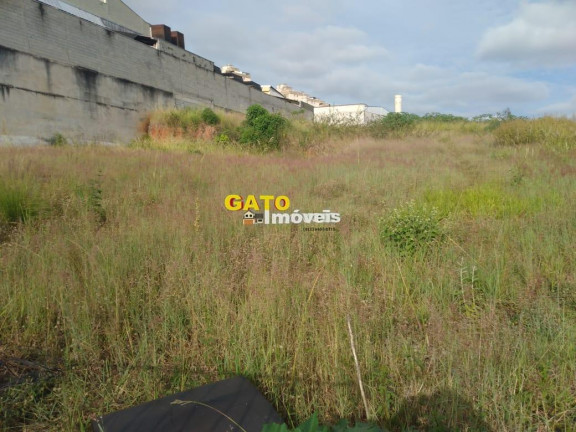 Imagem Terreno à Venda, 2.920 m² em São Luiz (polvilho) - Cajamar