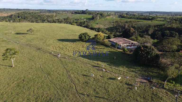 Imagem Fazenda à Venda, 2.610.000 m² em Zona Rural - Entre Rios