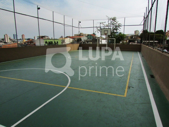 Imagem Apartamento com 2 Quartos à Venda, 52 m² em Cangaíba - São Paulo Imagem Apartamento com 2 Quartos à Venda, 52 m² em Cangaíba - São Paulo