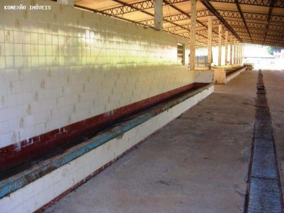 Imagem Fazenda à Venda, 1.452.000 m² em Santa Branca - Santa Branca Imagem Fazenda à Venda, 1.452.000 m² em Santa Branca - Santa Branca